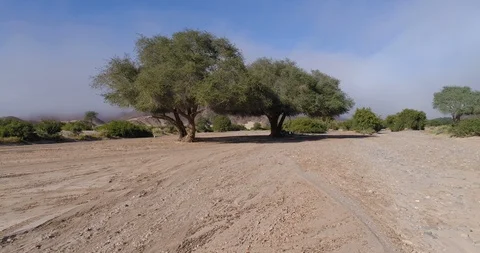 4K fly over view of fog in a dry river bed  ,Hoanib Valley, Namib Desert, Stock Footage 102763465
