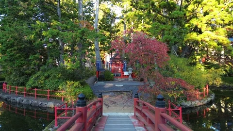4K Fly Through Red Bridge at a Shinto-Buddhist Temple in Autumn by Drone Stock Footage 257797404