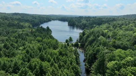 4K Fly Towards Forested Hammond Pond Stock Footage 280905698
