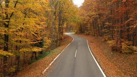 4K flying fast and close over curvy road in forest Stock Footage 98330034