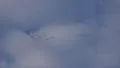 4k Flying geese in formation zoom-in 4k or 4k+ Resolution
