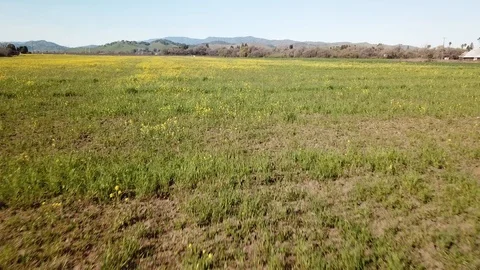 4K Flying low and fast over open field in northern California Stock-Footage 114521688