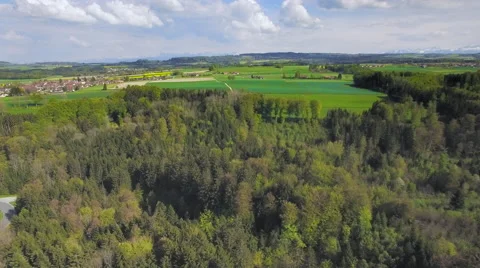 4K Flying over a beautiful forest Stock Footage 63140492