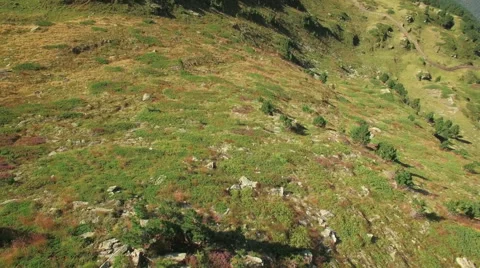4K flying over a mountain - rocks and yellow grass Stock Footage 53833902