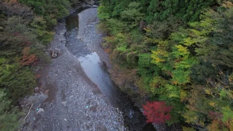 4K Flying Over River Stream in Autumn with Green Pine Trees Forest by Drone 스톡 동영상 257798381