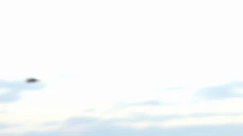 4K Flying seagulls over the beach Stock-Footage 100126148