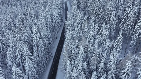 4K flying slow over snow covered forest trees and deserted road in winter Stock Footage 99102153