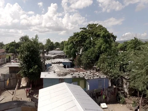 4k Flying through Trees In Jamaica- RAW Color Stock Footage 70166444