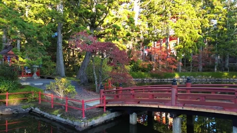 4K Flyover Red Bridge at a Shinto-Buddhist Temple in Autumn Palette by Drone 스톡 동영상 257797364