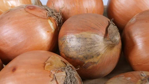 4K focus pull on fresh brown onion from pile vegetable on white background  Stock Footage 88488826