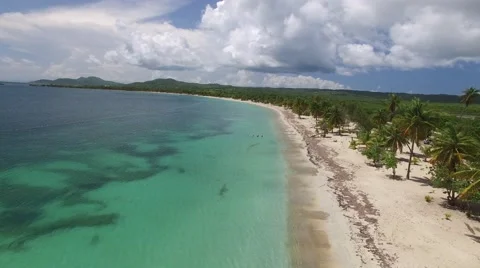 4K Focused Down the Beach with Sand Trees Stock Footage 63473023