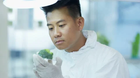 4K Food science researcher working in lab injecting chemicals into broccoli Stock Footage