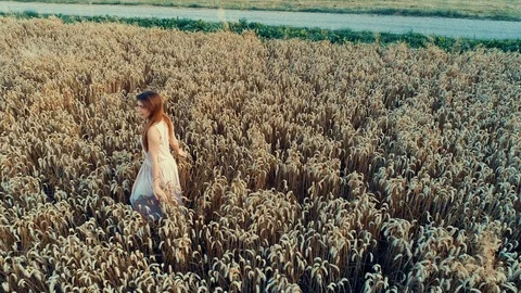 4K footage of beautiful redhead walking through wheat field having fun Stock Footage 92333232