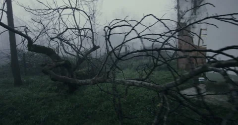 4k footage of camera on a steady cam moving in the mist through horrifying brunc Stock Footage 50097655