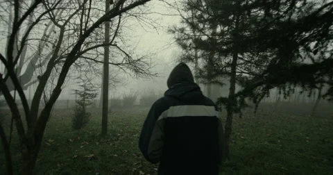 4k footage of camera on a steady cam moving in the mist fallowing a man through  Stock Footage 50097717