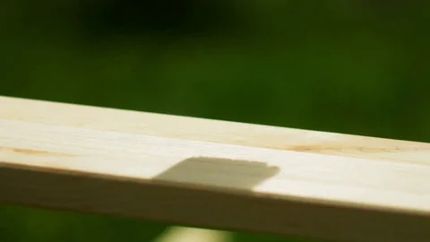 4K footage. Close-up paintbrush varnishing wooden plank Stock Footage