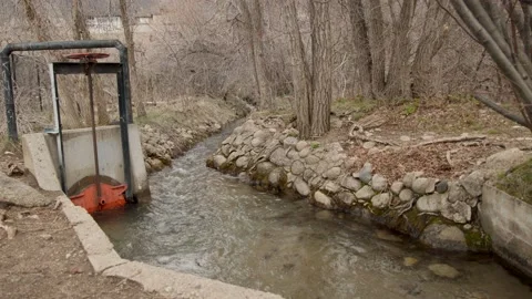 4k Footage Stockbeeldmateriaal 239485353