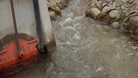 4k Footage Stockbeeldmateriaal 240042203