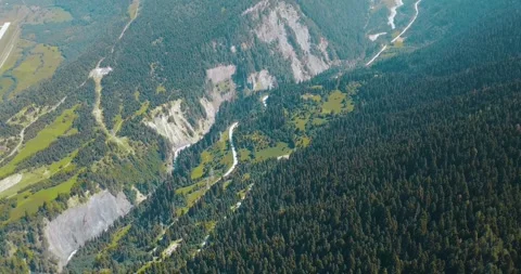 4K footage of lush Forest Trees Across a Majestic Mountain Landscape Stock Footage 341473388