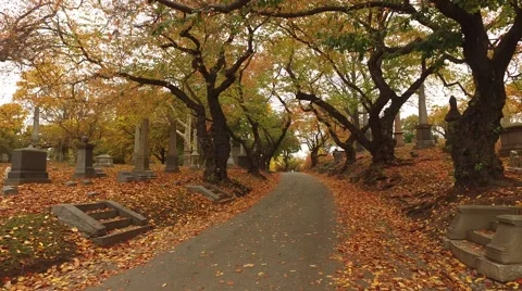 4K footage moving down a pathway in a graveyard Stock Footage 61768639
