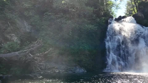 4K footage of the powerful Youngs River Falls near Astoria, Oregon, USA Stock Footage 339423760