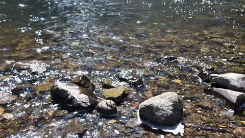 4K footage of the powerful Youngs River Falls near Astoria, Oregon, USA Stock Footage 339423985