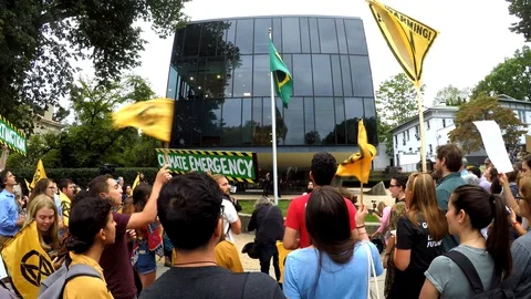 4K Footage: Protest against Amazon Rainforest Fires at Brazilian Embassy Video stock 114820832