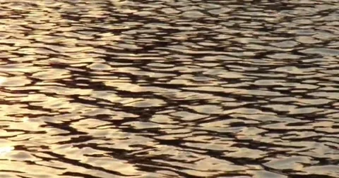 4K footage of Serene Water Surface with Gentle Ripples and Reflections Stock Footage 346491806