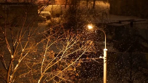 4K footage, snow is falling over light post and tree at winter night 스톡 동영상 70321653