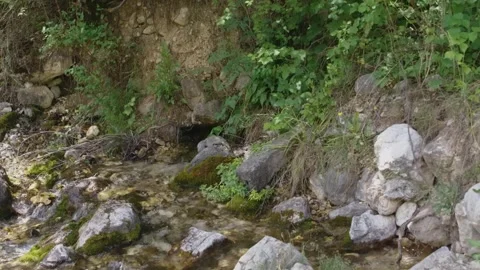 4K Footage of Spring or Stream Flowing Through Rocky, Vegetated Mountain Terrain Stock Footage 306602000
