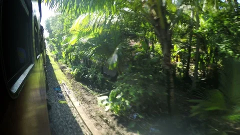 4K Footage of a train going through the jungle in Sri Lanka Stock-Footage 87830957