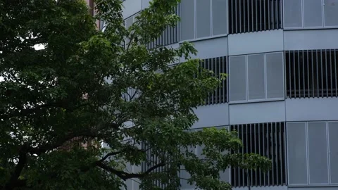 4k Footage Of Trees Blowing In The Wind Against A Corporate Building Vídeo Stock 145239890