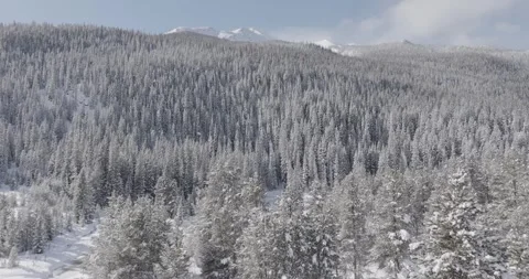 4K footage of Winter Drone Flight Over a Snow-Covered Forest Stock Footage 341528015