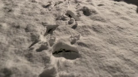 4K footprints backyard thick snow in london 2022 Stock Footage 225401042