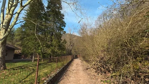 4K Forest Canopy POV - Walking Under Bare Tree Branches Against Clear Sky Video stock 332374430