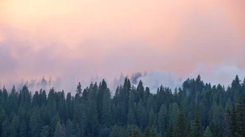 4K Forest Fire Time Lapse Stock Footage 41828400