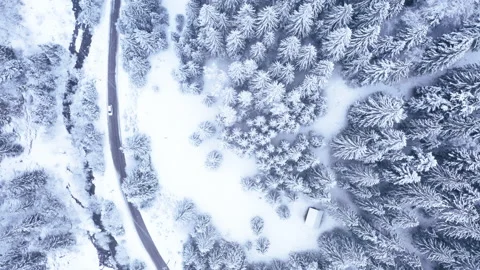 4K forest landscape forest covered with snow in the Tatra Mountains Stockbeeldmateriaal 148305265
