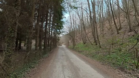 4K Forest Path Walk - POV Stabilized Journey Through Lush Green Woodland Stock Footage 332374148