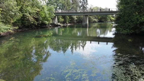 4K Forest River Flight Under Bridge Exposing Ocean - Vancouver Island, Canada Stock Footage 321117139
