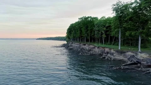 4K Forested Shoreline Active Soil Erosion and Fallen Trees at Water Vídeos de archivo 334439716