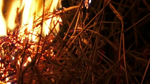 4K Forrest fire at night. closeup. UHD stock video Stock Footage 47282724