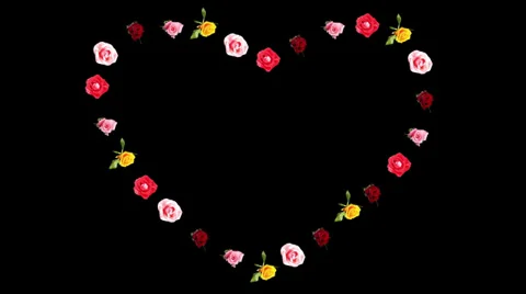 4K. Frame of blooming roses time-lapse heart with alpha matte, Ultra HD Stock Footage 39347394