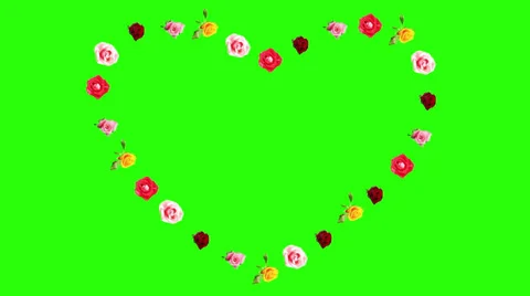 4K. Frame of blooming roses time-lapse heart with green screen, Ultra HD Stock Footage 39347397
