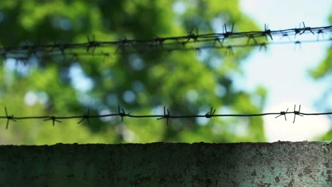 4k frames with barbed wire symbolizing the restricted area for outsiders Stock Footage 195934925