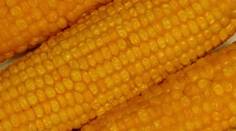 4k – Fresh boiled corncobs on plate Video stock 56160244