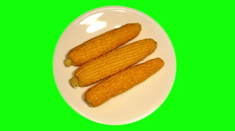 4k – Fresh boiled corncobs on plate Stock Footage 56461562