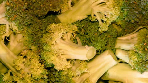 4k – Fresh broccoli 01 Stock Footage 55567215