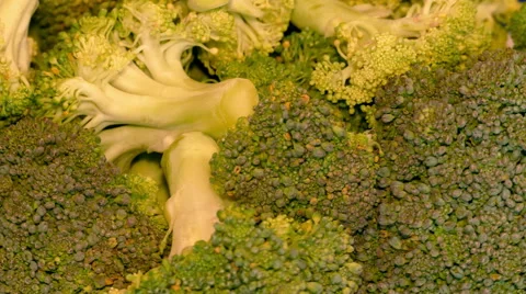 4k – Fresh broccoli 02 Video stock 55569044