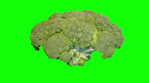 4k – Fresh broccoli Stock Footage 56529519