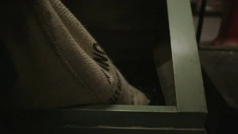 4K Fresh raw coffee beans being poured into a machine to be processed Stock Footage 72939072